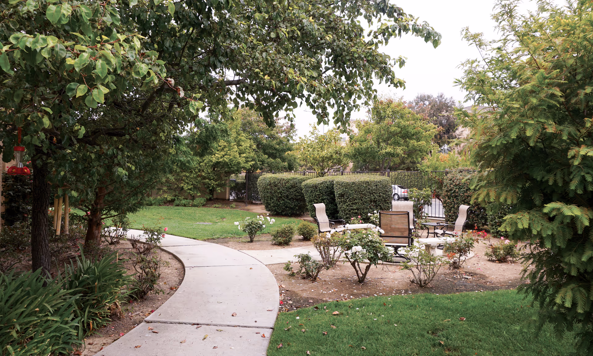 A peaceful outdoor garden area with a curved concrete pathway, green grass, various bushes, and trees. There are several chairs arranged around a small table in the middle of the garden, with a metal fence and parked cars visible in the background.