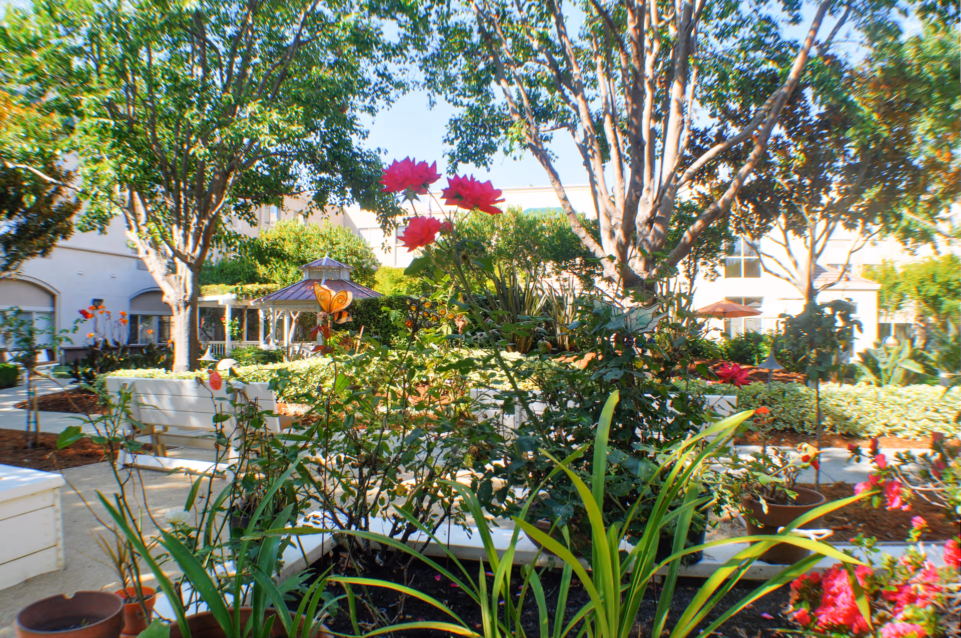 A bright outdoor garden area with various plants and flowers, including red roses in the foreground. There are several trees providing shade, white benches for seating, and a gazebo in the background. The garden is surrounded by a building with windows and balconies.