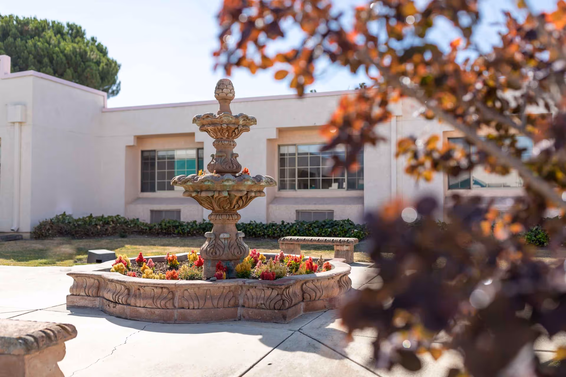 Outdoor courtyard area with a decorative stone fountain surrounded by colorful flowers. The background shows a beige building with windows and some greenery. Part of a tree with reddish leaves is visible in the foreground on the right side.