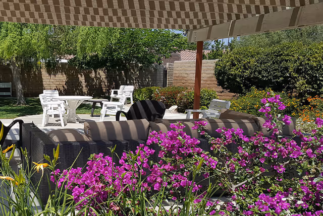 Outdoor seating area with cushioned wicker sofas and chairs under a striped canopy, surrounded by vibrant purple flowers and greenery, with white plastic chairs and tables in the background near a brick wall.