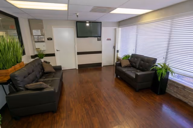 A waiting room with two black leather sofas facing each other, each with brown cushions. There are potted plants on either side of the sofas. The room has wooden flooring, white walls with a black horizontal stripe, a large window with white blinds on the right, and two white doors at the back. A flat-screen TV is mounted on the wall between the doors.