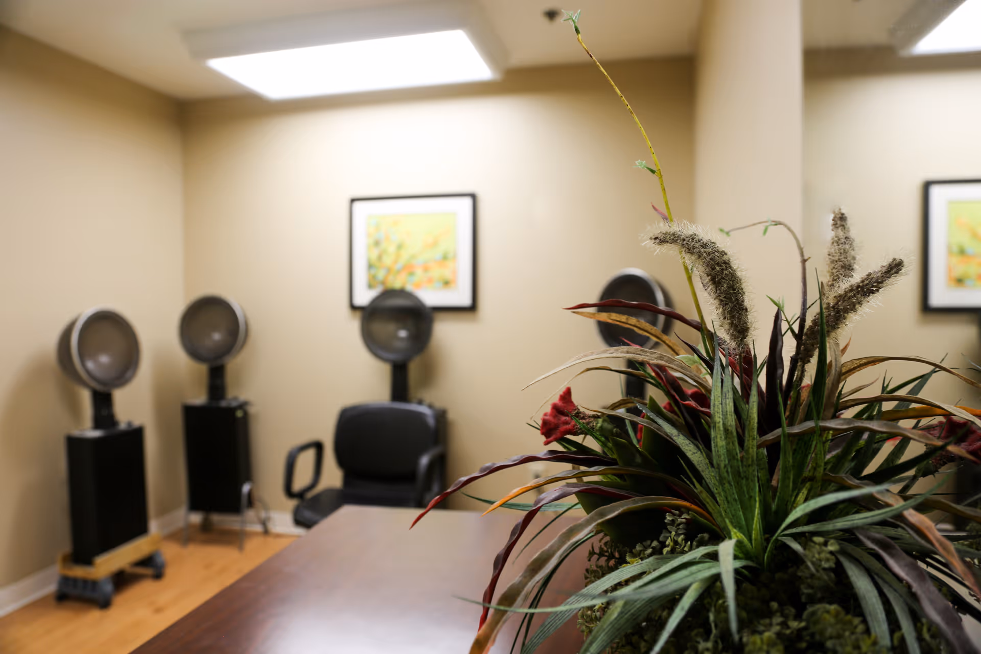 Indoor salon-style room showing hooded hair dryers and chairs with framed art on the wall and a large potted plant in the foreground.