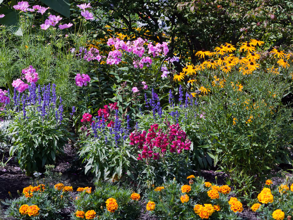 A vibrant garden bed filled with a variety of colorful flowers including purple, pink, yellow, and orange blooms surrounded by green foliage.