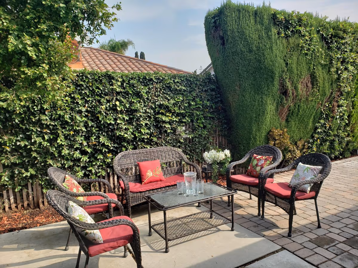 Wicker patio seating with red cushions around a glass-top coffee table on a paved backyard patio bordered by tall hedges.