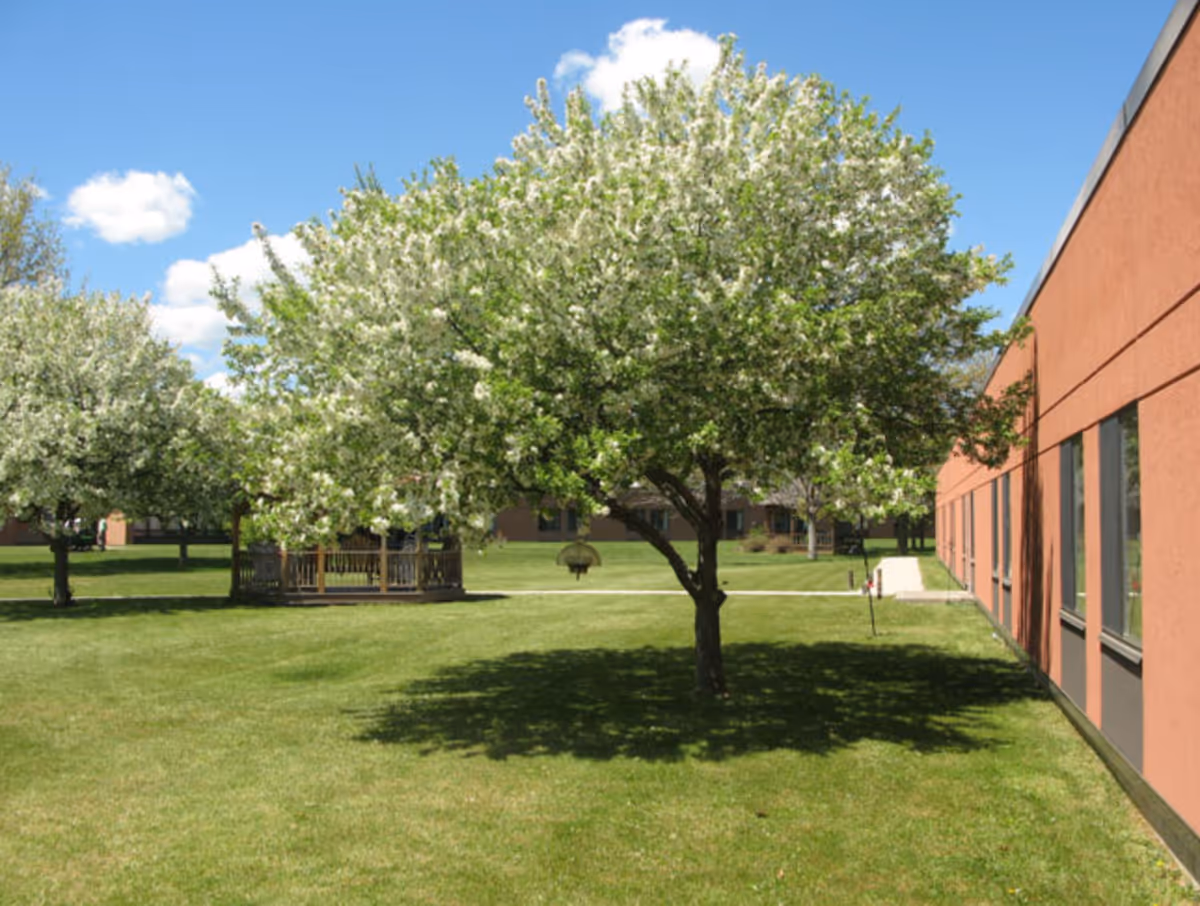 Photo 26 of Manor Hills: A Willow Ridge Senior Living Community