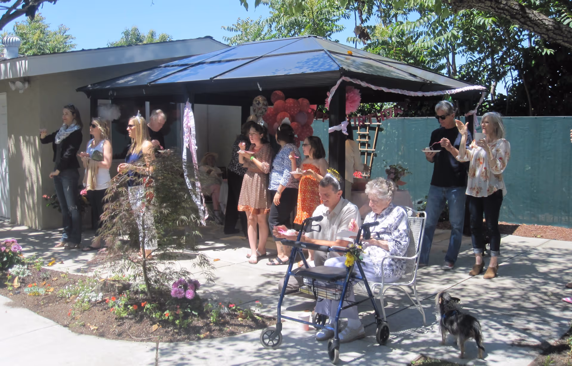 A group of people gathered outdoors at Livermore Valley Senior Living, celebrating an event under a gazebo decorated with pink balloons and streamers. Several individuals are eating cake, including an elderly woman seated with a walker and a man beside her. Others stand around chatting and enjoying the sunny day, with trees and plants surrounding the area.