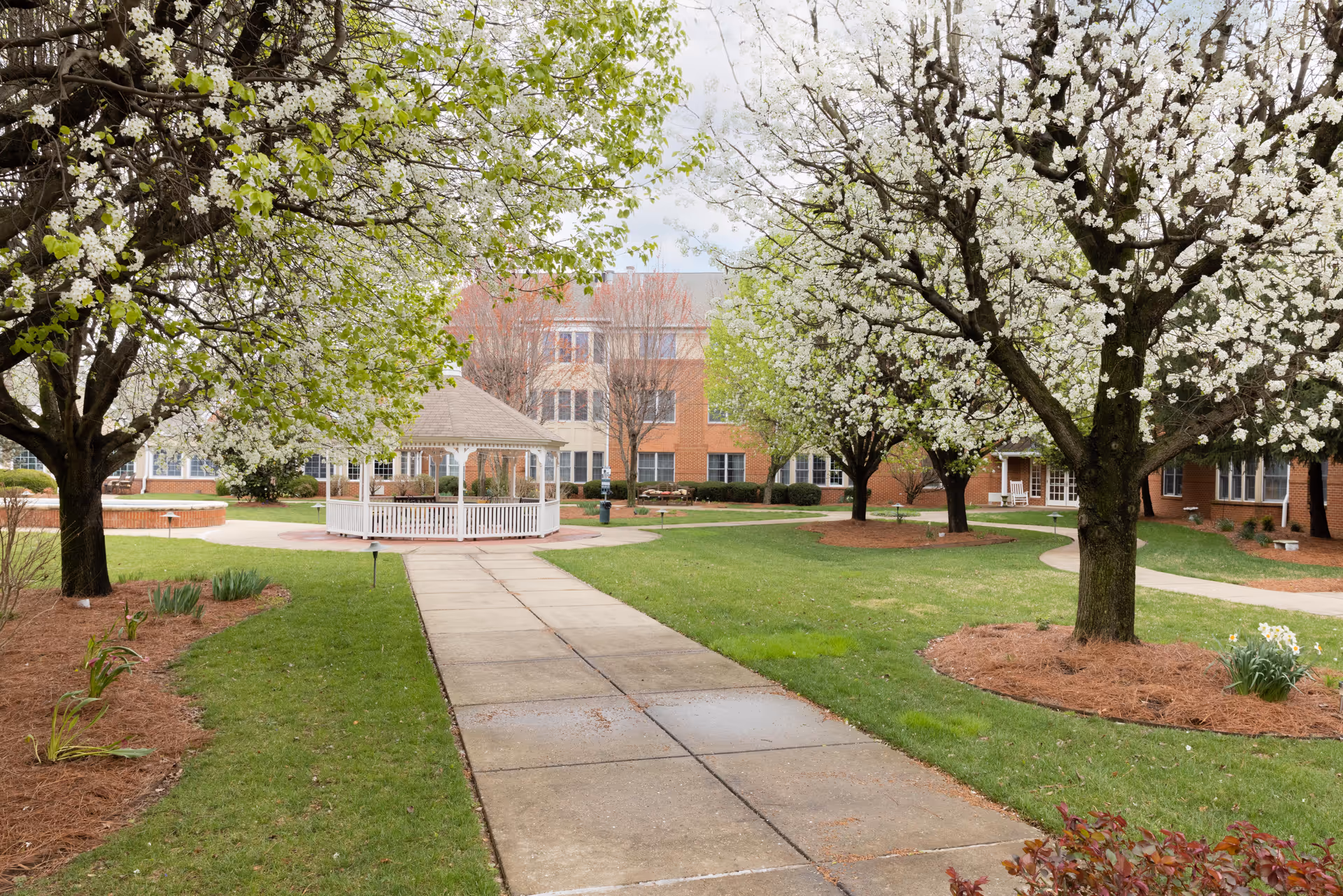 Courtyard with a paved walkway leading to a white gazebo, surrounded by blooming trees and a brick senior living building.