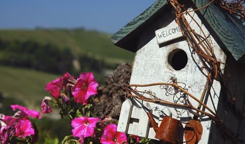 A rustic white birdhouse with a green roof and a small sign that says 'WELCOME' attached to it. The birdhouse is decorated with dried vines and a small rusty watering can. Bright pink flowers are in the foreground, and a blurred green landscape is visible in the background.