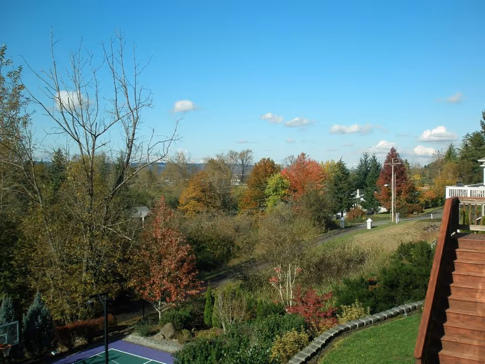 View of an outdoor area with a variety of trees showing autumn colors, a clear blue sky with a few clouds, a basketball court partially visible in the lower left corner, and a wooden staircase on the right side leading down to a grassy area.