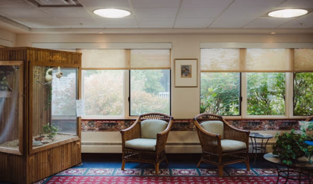 A cozy sitting area with two wicker chairs with cushions placed in front of large windows with beige roller blinds. There is a wooden display case on the left side and a small round table with a plant on the right. The floor is covered with a patterned red carpet.