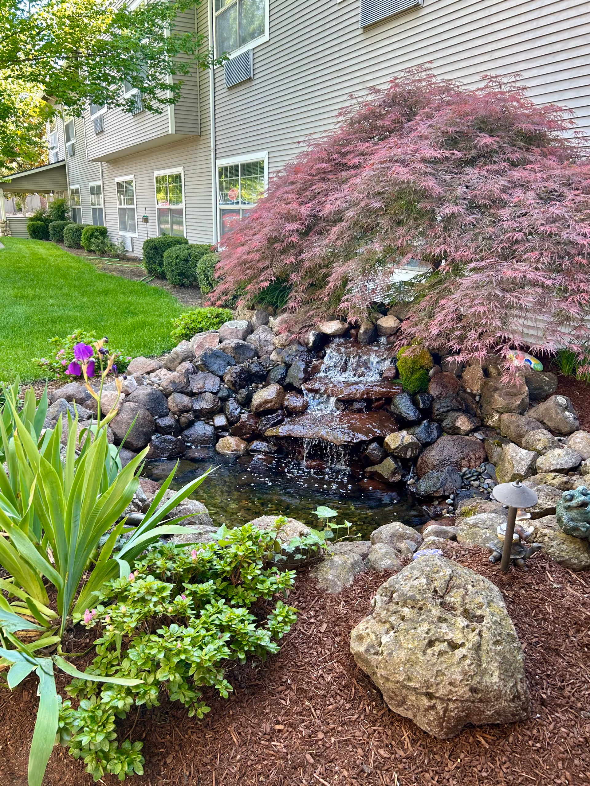 A landscaped outdoor area at Lakeland Senior Living featuring a small rock waterfall pond surrounded by various plants including a purple flowering plant, green shrubs, and a Japanese maple tree with red leaves. The side of a beige building with multiple windows and air conditioning units is visible in the background.