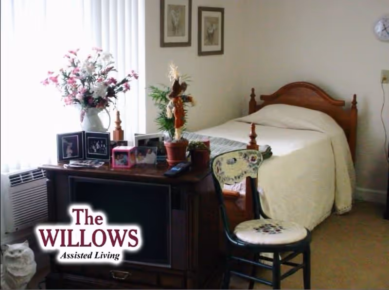 Small bedroom with a single wooden bed, a TV cabinet topped with photos and plants, and a floral chair by a window.