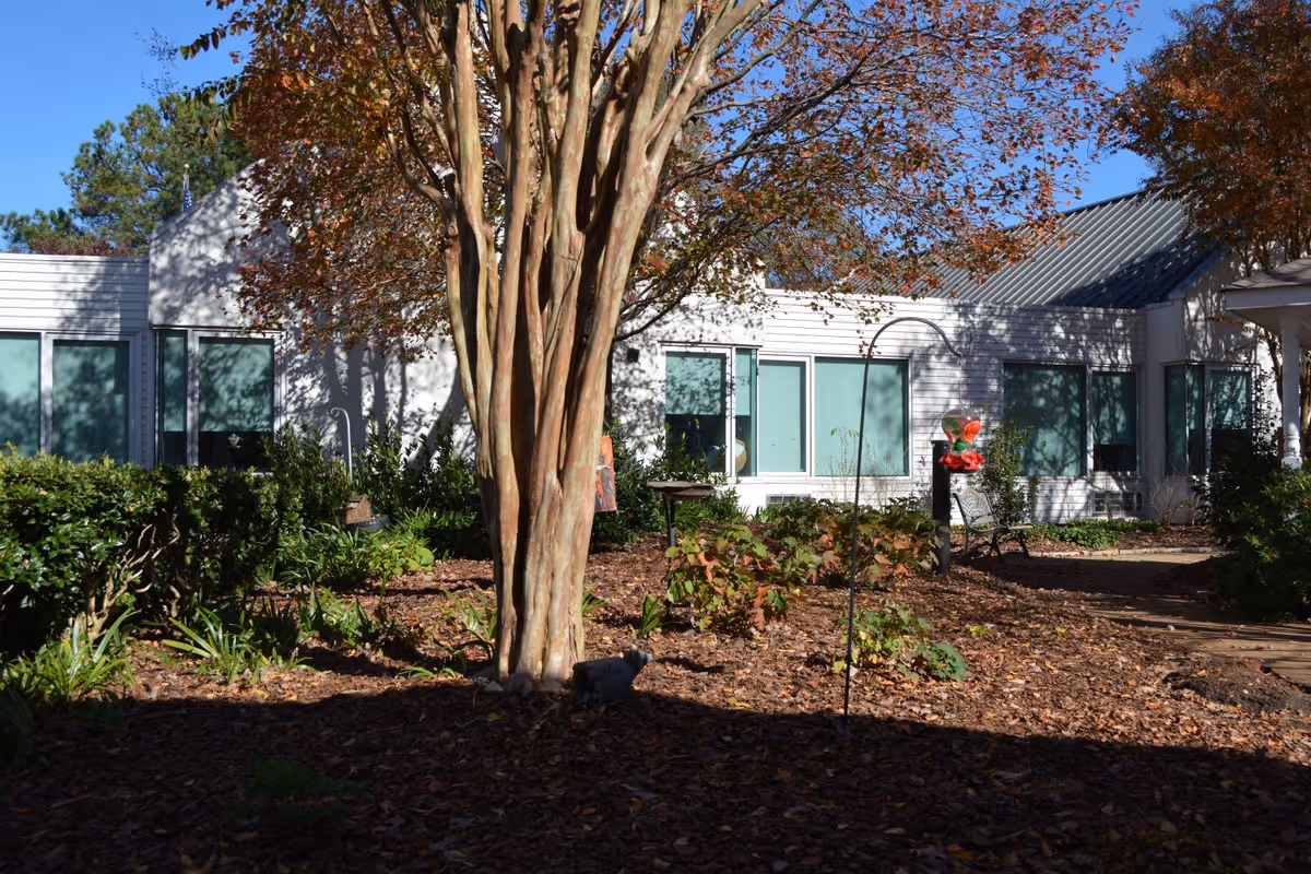Outdoor garden area with a large tree in the center, surrounded by bushes and plants. In the background, there is a white building with multiple windows and a metal roof under a clear blue sky.