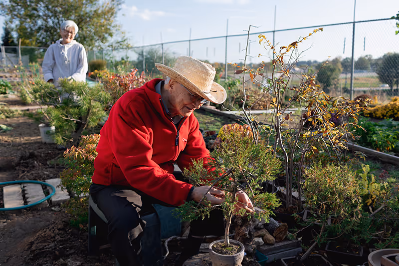 An elderly man wearing a straw hat and red jacket tends to a small potted plant in a garden area, while an elderly woman in a white jacket stands in the background near other plants. The garden is enclosed by a chain-link fence and the sky is clear with some clouds.
