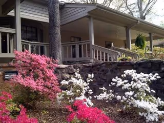Exterior view of a building porch with a stone wall and blooming pink and white azalea bushes in the foreground.