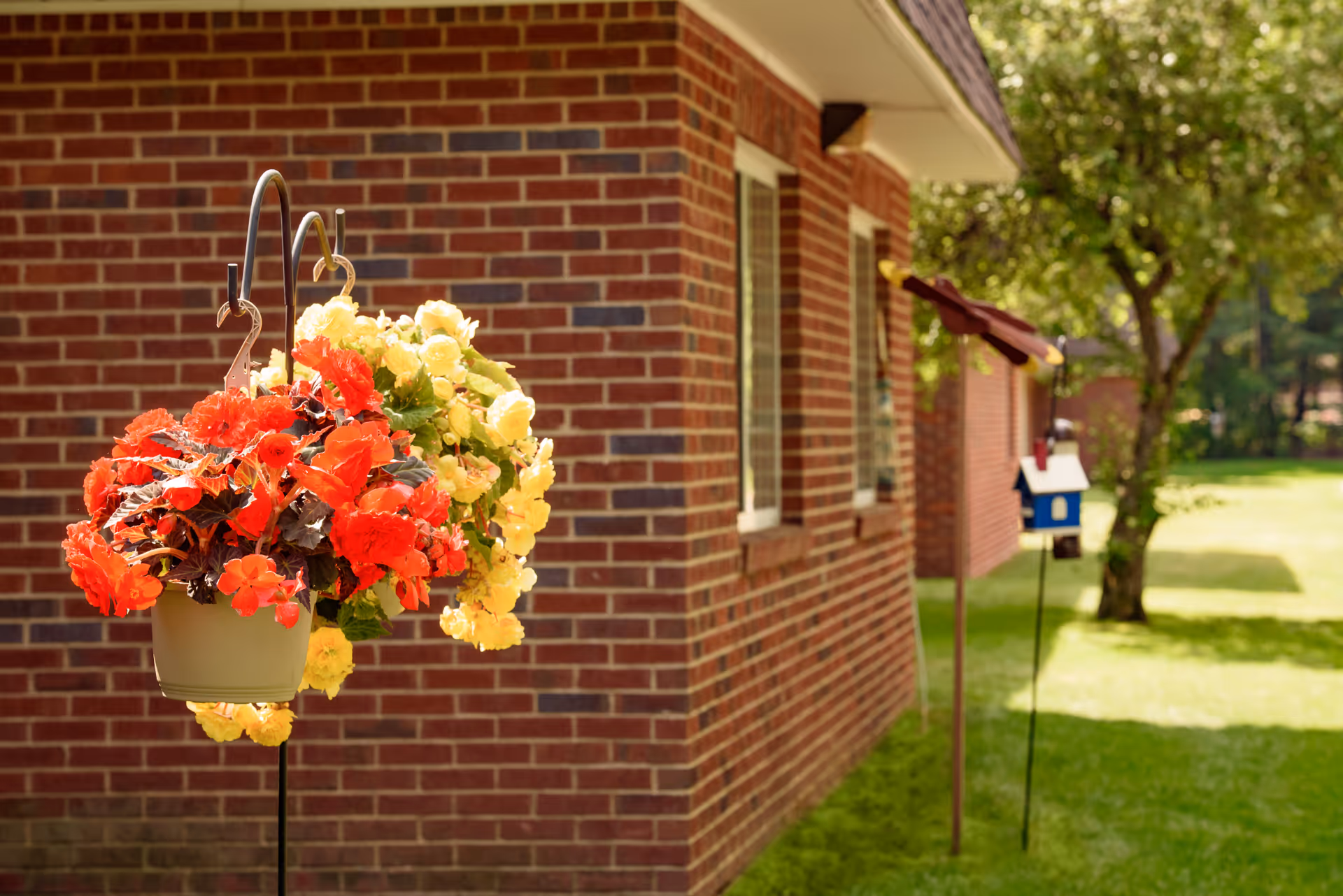Two hanging flower pots with red and yellow flowers in front of a brick building with windows, a birdhouse on a pole, and a tree in a grassy yard.