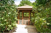 A wooden gazebo at the end of a short paved path surrounded by dense green foliage.