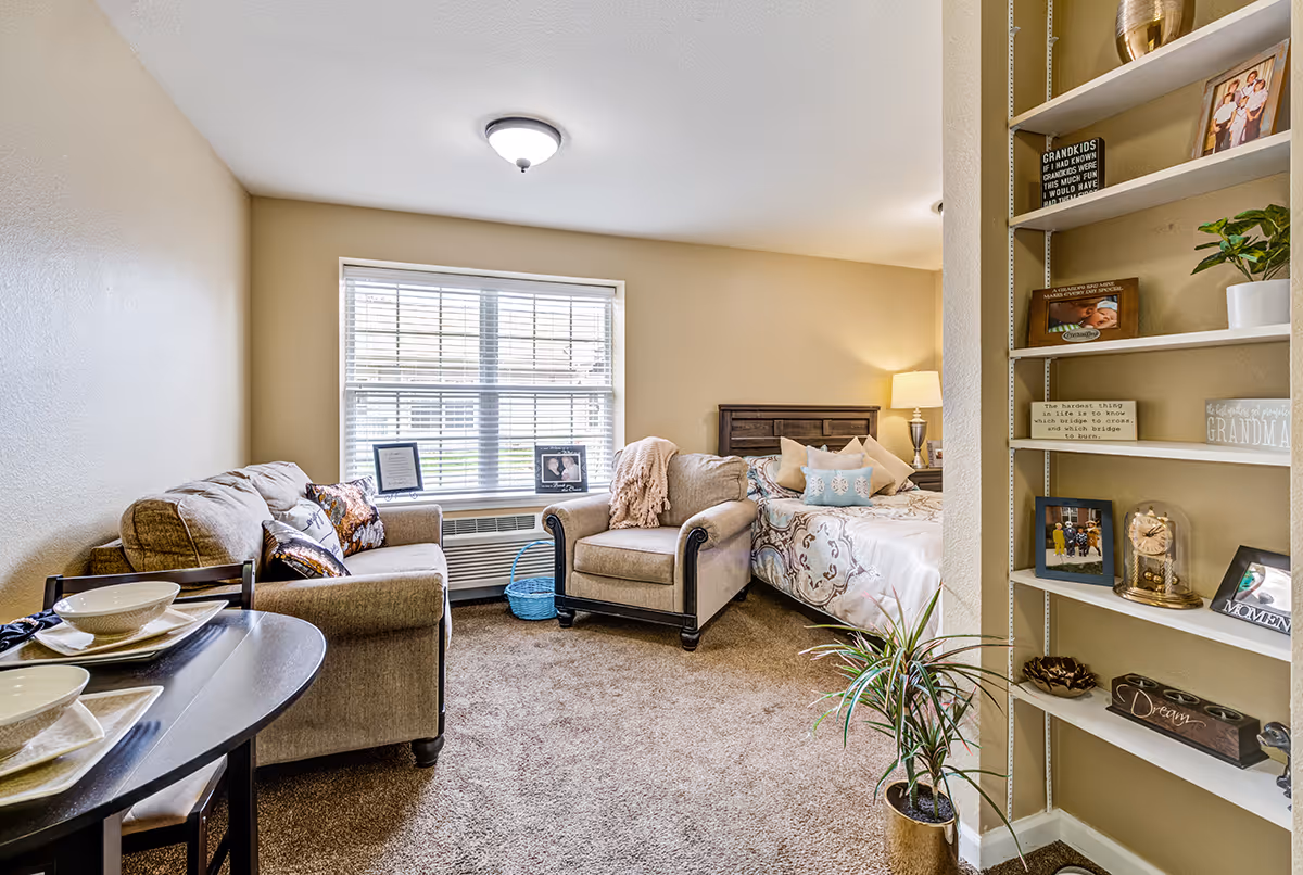 Bright studio apartment living area with a sofa, armchair, bed, shelving, and a window.