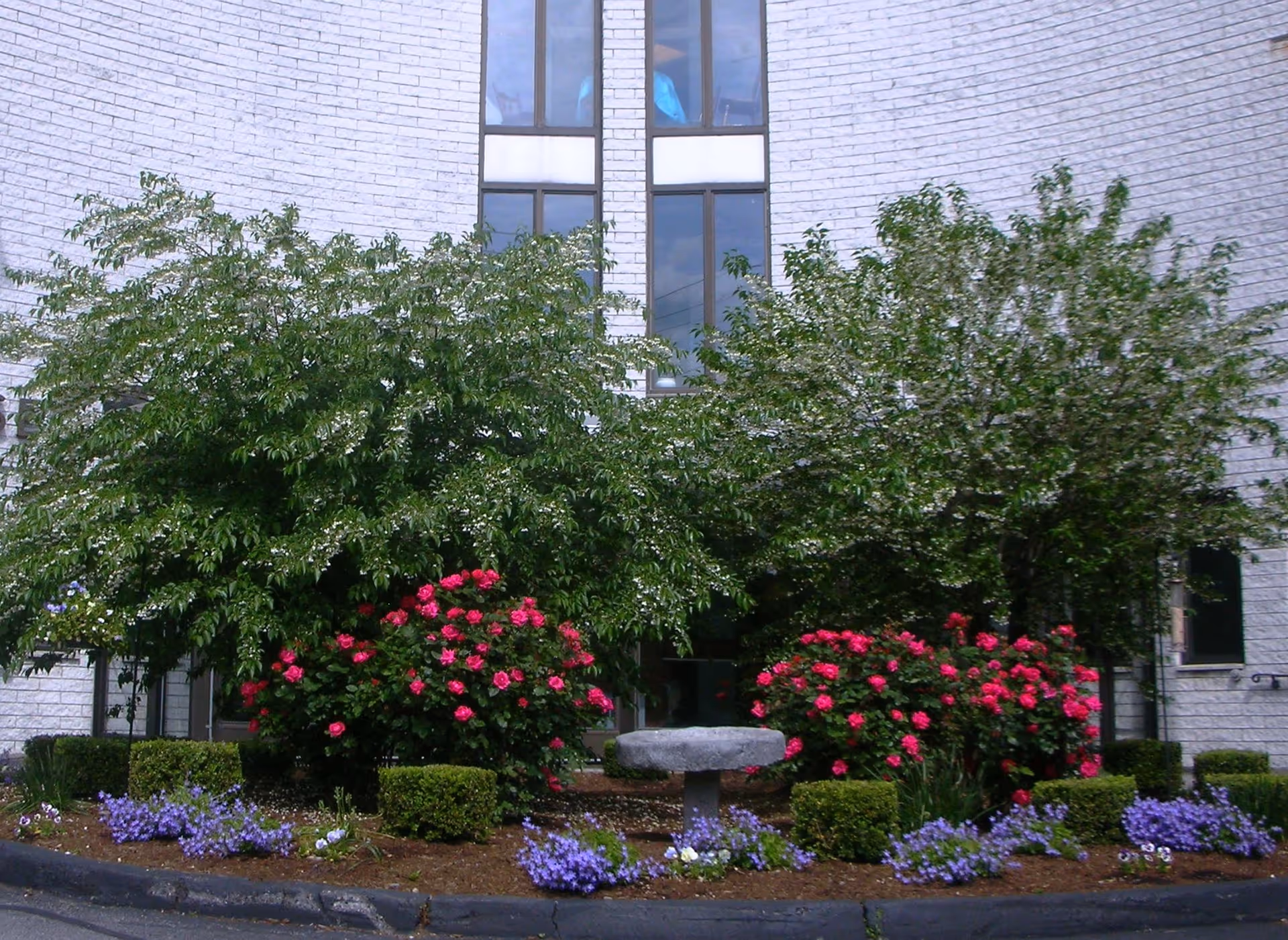 A landscaped garden area in front of a white brick building with tall windows. The garden features green bushes, pink flowering shrubs, purple flowers, and a stone birdbath in the center.