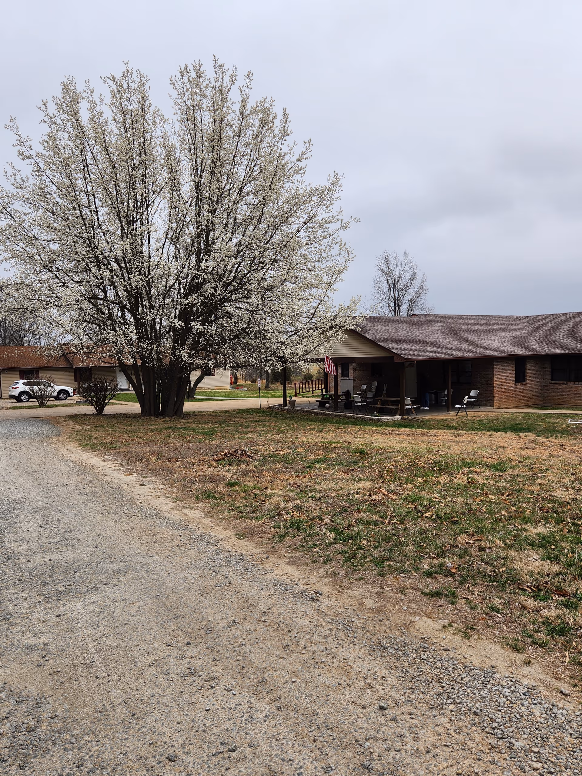 A large flowering tree by a single-story brick building with a gravel driveway, front porch chairs, and an American flag.