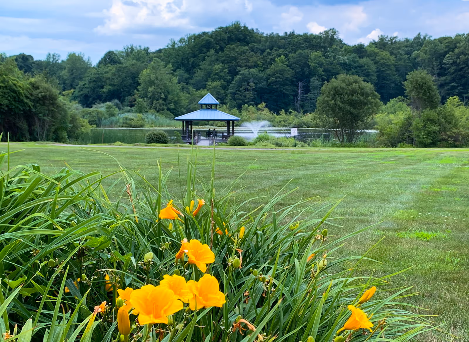 Yellow flowers and green lawn in the foreground with a gazebo by a small lake and fountain surrounded by trees.