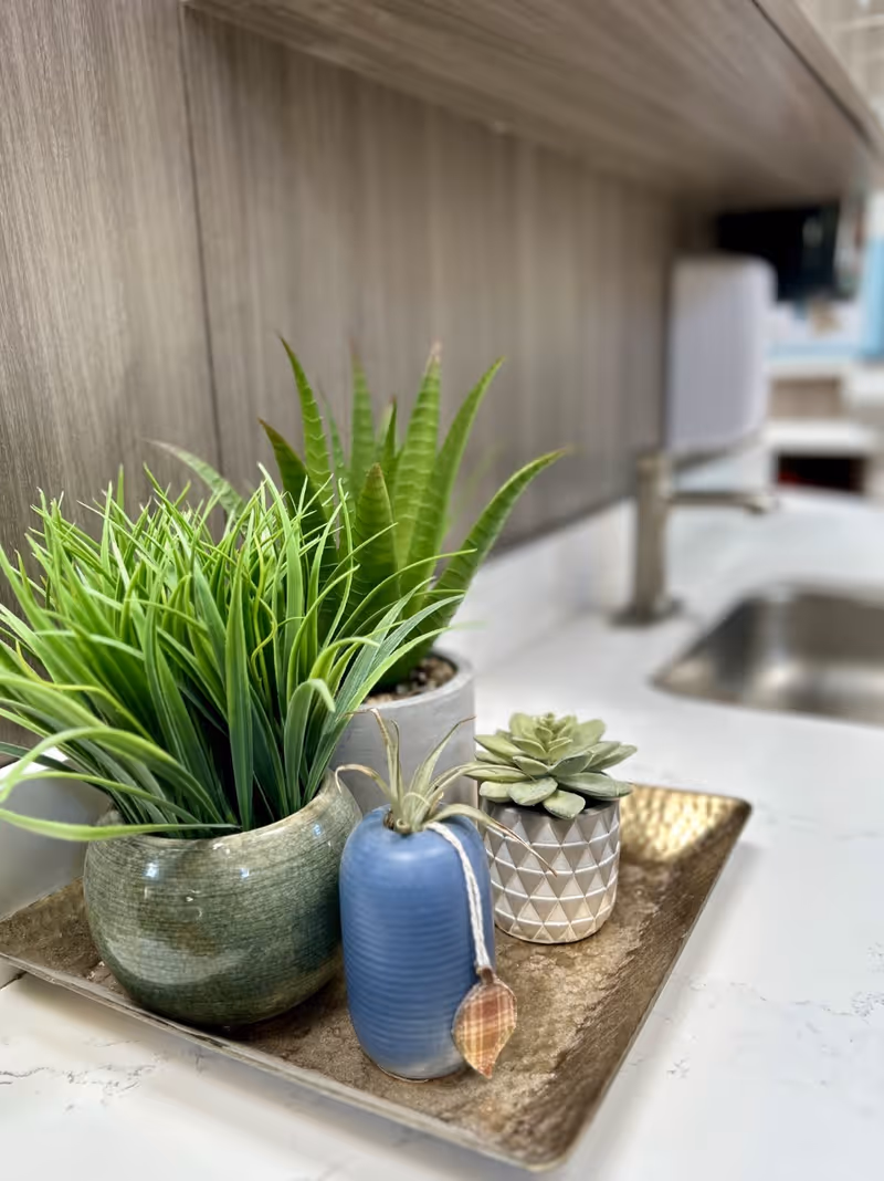 Close-up of a kitchen countertop with a decorative tray holding three small potted plants, including succulents and a blue vase with a hanging ornament. A stainless steel sink and faucet are visible in the background.