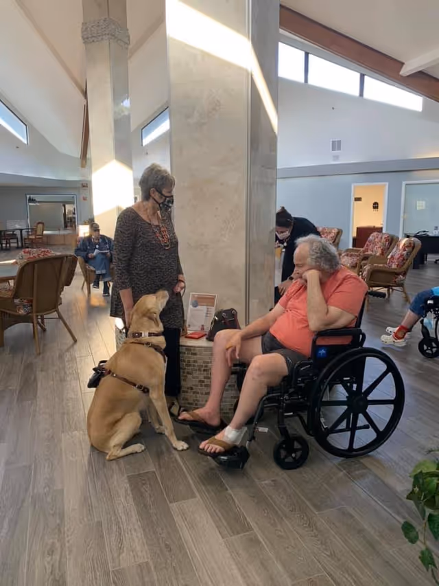 A man in a wheelchair wearing a coral shirt and black shorts interacts with a yellow service dog sitting in front of him. A woman wearing a mask and a patterned dress stands nearby, looking at the dog. The setting is a spacious, well-lit common area with wooden flooring, chairs, and large windows letting in natural light.