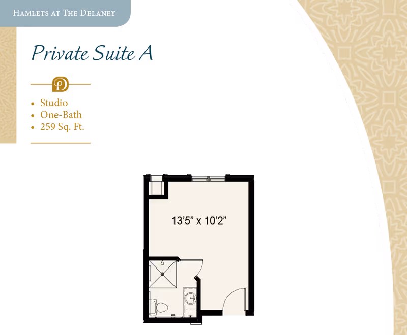 Floor plan for Private Suite A at Hamlets at The Delaney, a studio apartment with one bathroom and a total area of 259 square feet. The main room measures 13 feet 5 inches by 10 feet 2 inches. The layout includes a bathroom with a shower, toilet, and sink, and an entry door to the suite.