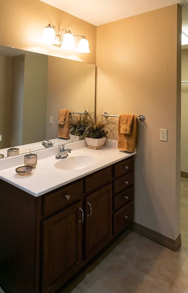 Bathroom vanity with a white countertop, a sink with a chrome faucet, a large mirror above, and a three-light fixture. There are two brown towels hanging on a towel bar and a potted plant on the countertop.