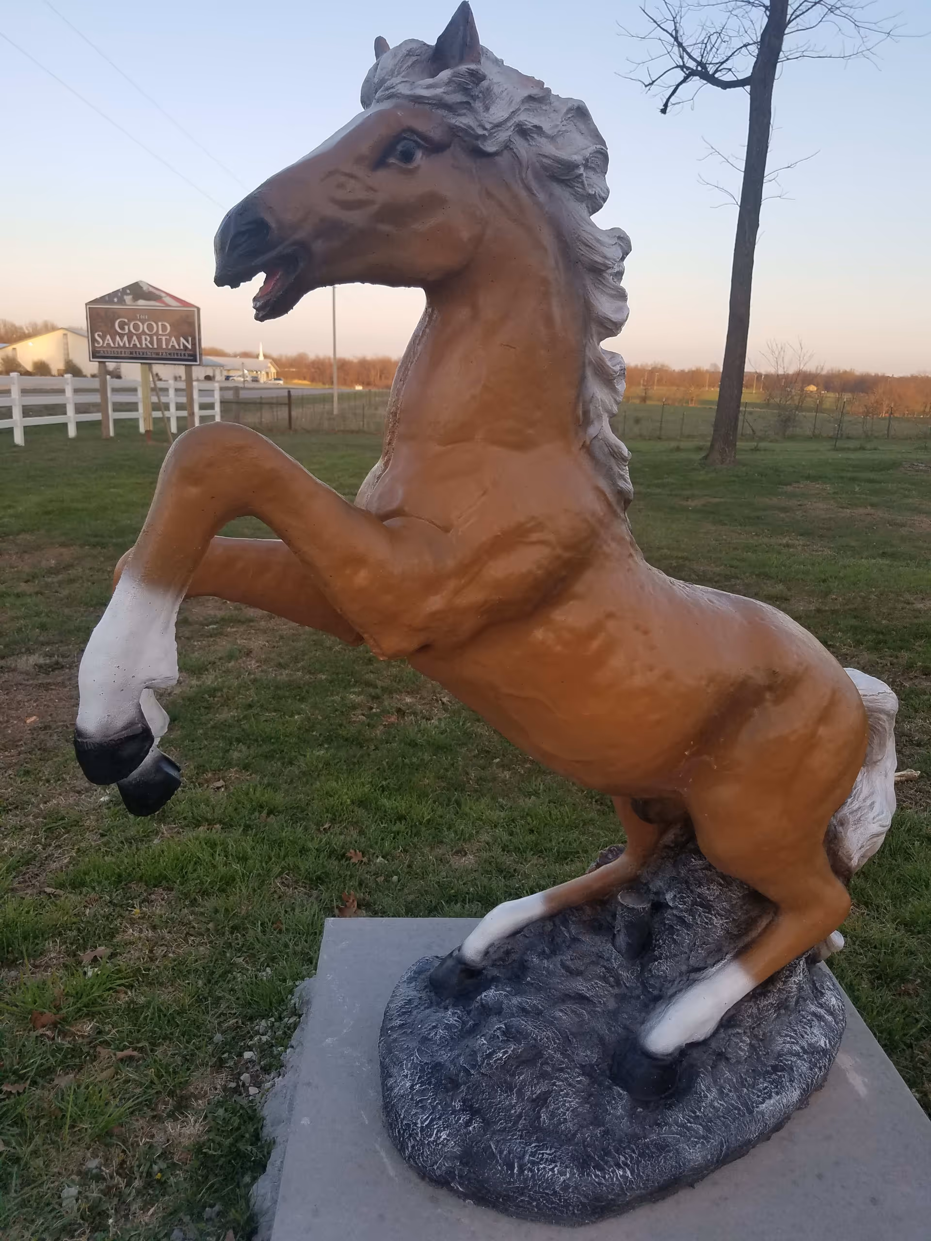 A large brown horse statue rearing on its hind legs on a grassy area with a tree and a sign in the background that reads 'The Good Samaritan Assisted Living Facility'.