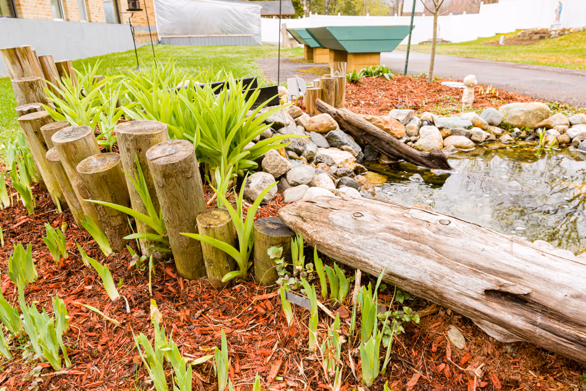 A landscaped garden area featuring a small pond surrounded by rocks and wooden logs. There are green plants and fresh mulch around the pond, with a building and a white fence visible in the background.