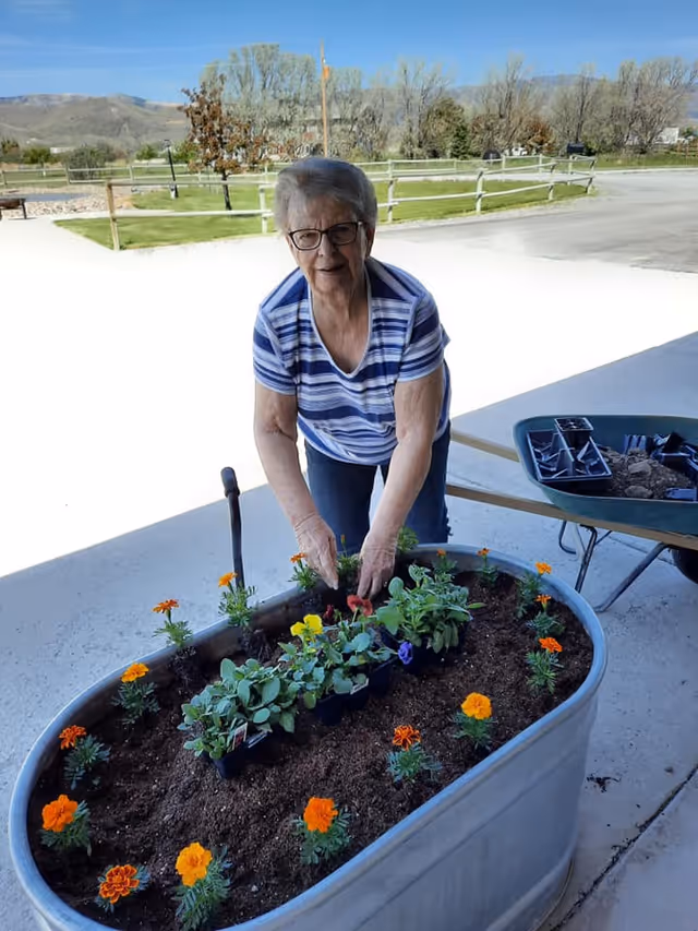 An elderly woman wearing glasses and a striped shirt is gardening outdoors. She is planting flowers in a large metal planter filled with soil. There is a wheelbarrow with gardening tools nearby, and a rural landscape with trees and mountains in the background.
