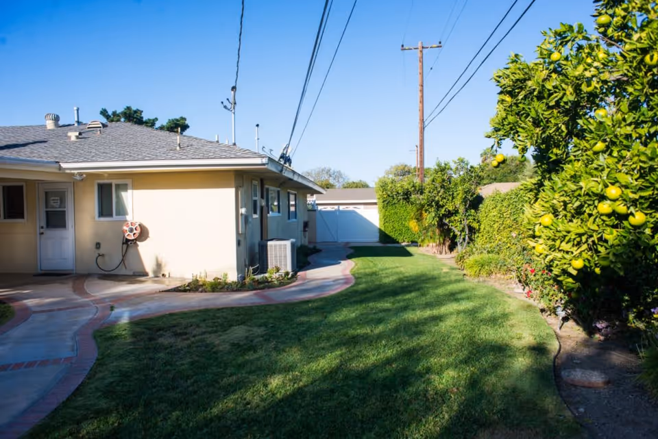Outdoor view of a single-story building with a beige exterior, a concrete pathway, green grass lawn, and fruit trees bearing yellow-green fruit under a clear blue sky.