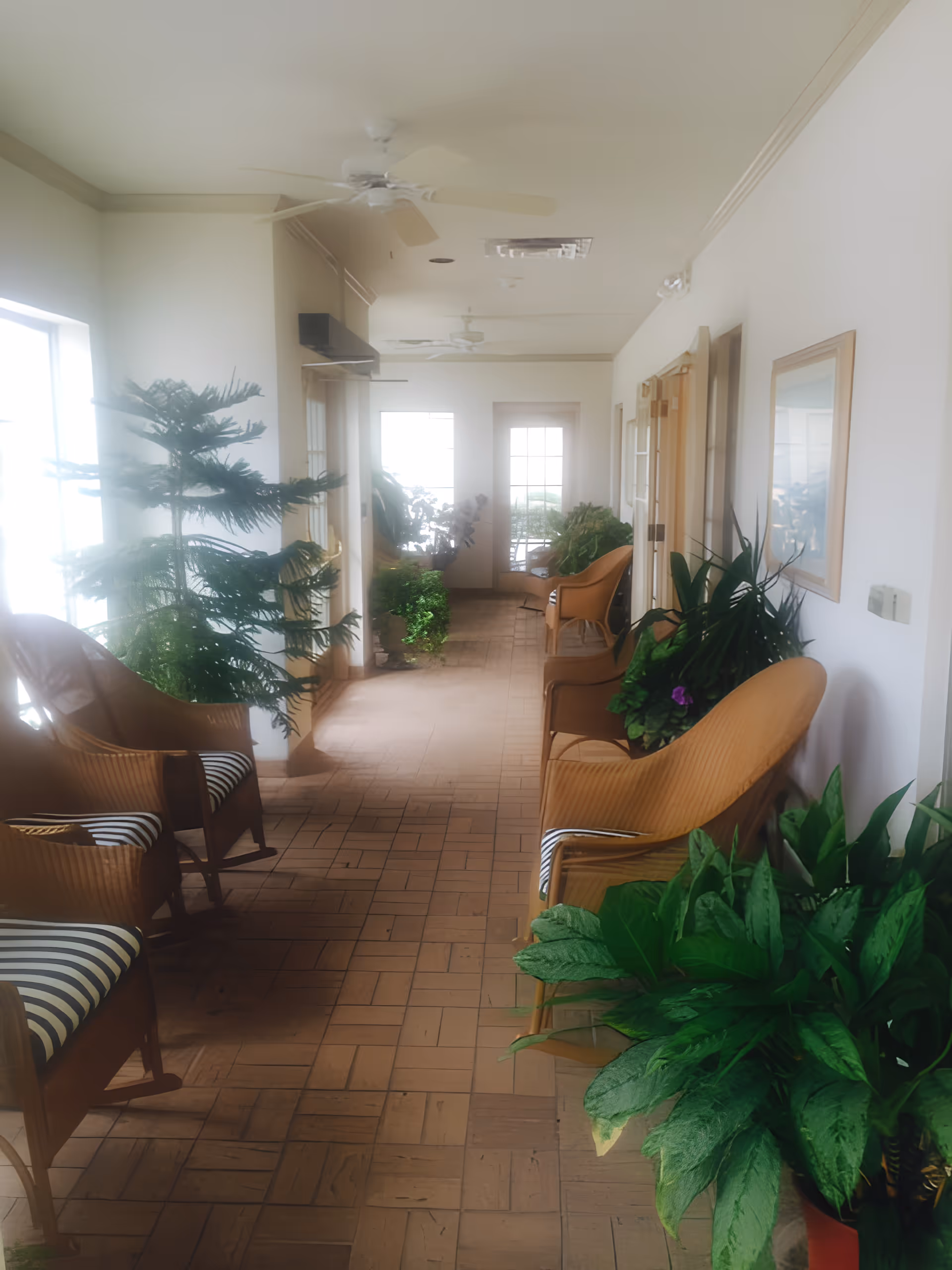 A bright indoor hallway with wooden chairs featuring striped cushions and several green potted plants along the sides. The hallway has white walls, a tiled floor, ceiling fans, and windows letting in natural light.
