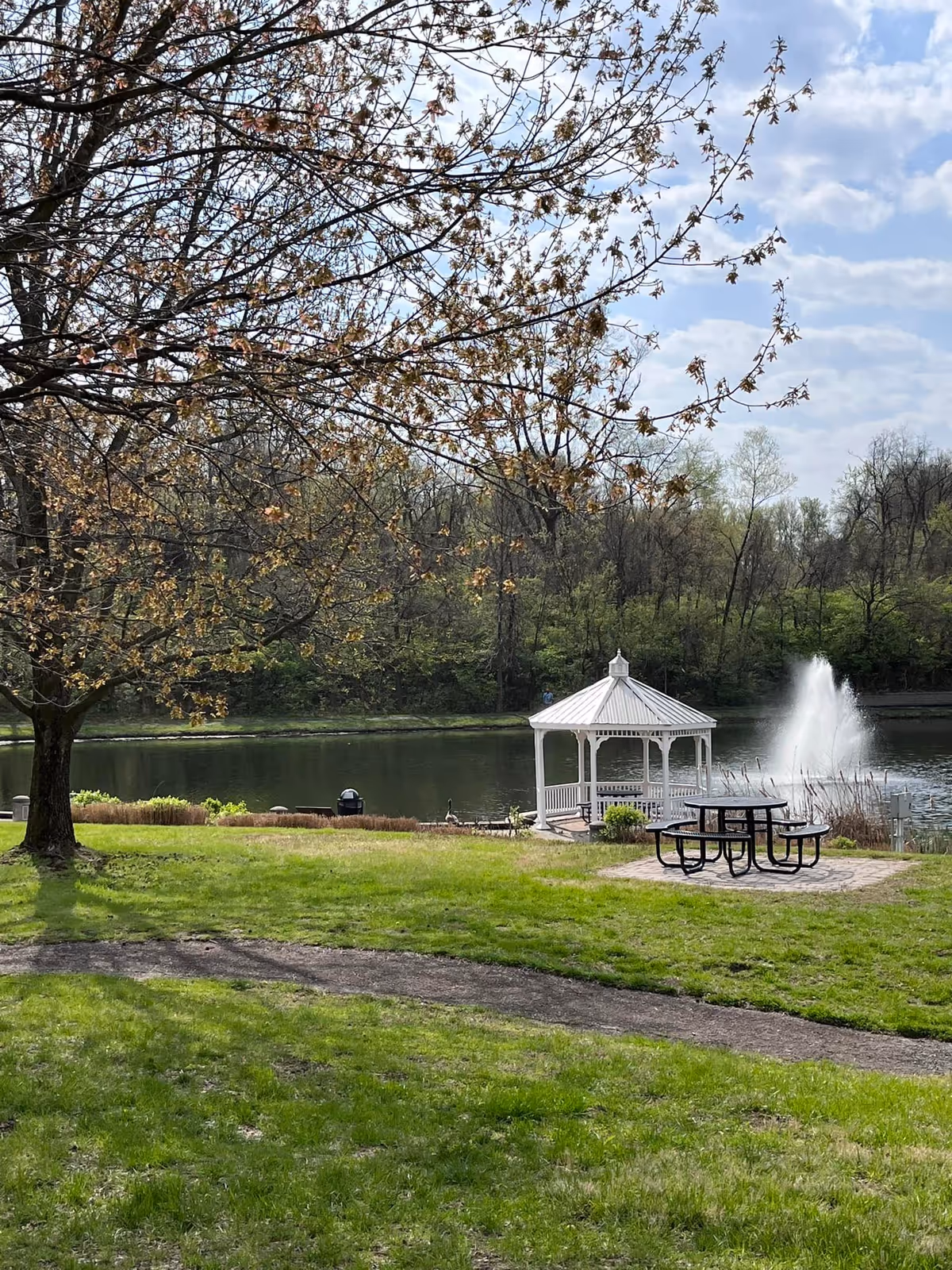 Grassy lakeside scene with a white gazebo, a fountain in the pond, a picnic table, and trees under a partly cloudy sky.