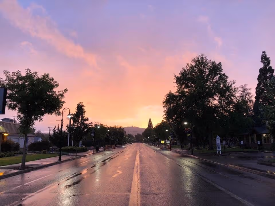 A wet street lined with trees on both sides during sunset, with a colorful sky showing shades of purple, pink, and orange. Street lamps are lit along the sidewalks, and there are buildings and greenery visible on either side of the road.