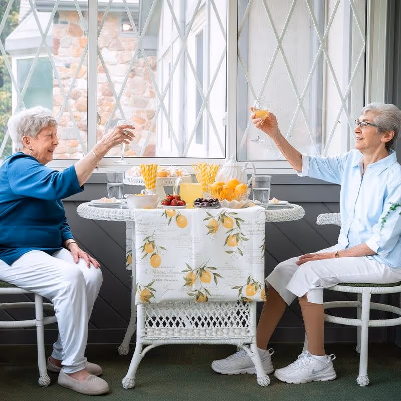 Two elderly women sitting at a white wicker table with a lemon-patterned tablecloth, raising their glasses in a toast. The table is set with a pitcher of juice, glasses, bowls of fruit, and straws. They are indoors near a large window with a view of a stone wall outside.