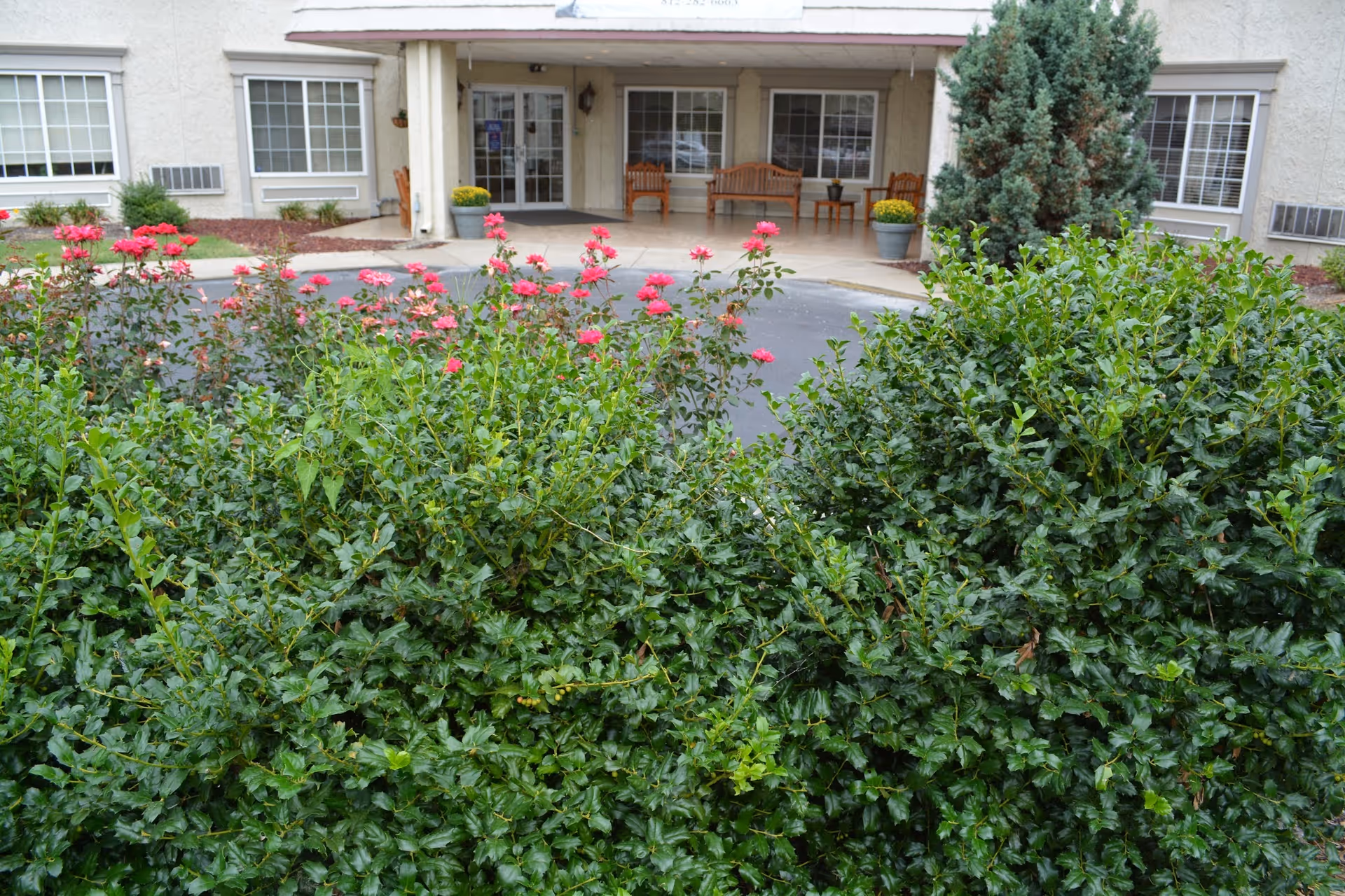Front entrance of a building seen over green shrubs and pink flowers, with a covered porch and benches at the doorway.