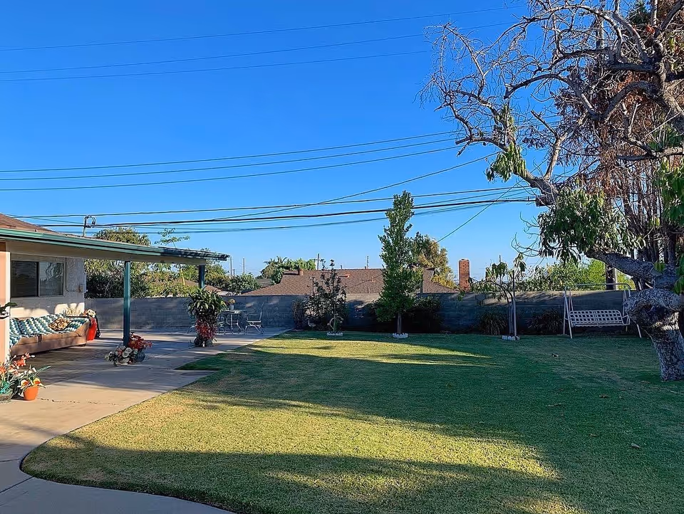A sunny outdoor yard area with a well-maintained lawn, a large tree on the right, and a covered patio on the left with a couch and potted plants. There is a metal table with chairs near the back wall and a white swing bench under the tree. The sky is clear and blue.
