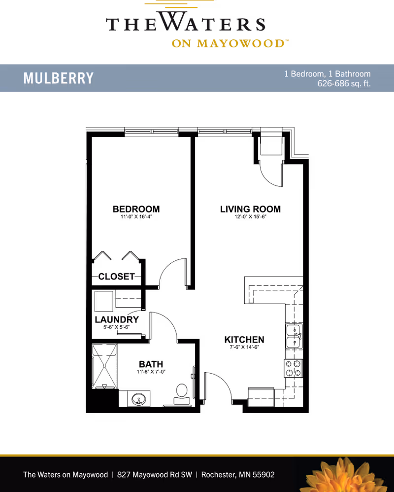 Floor plan of the Mulberry unit at The Waters on Mayowood, showing a 1 bedroom, 1 bathroom layout with dimensions and labeled areas including living room, kitchen, bedroom, bathroom, closet, and laundry.