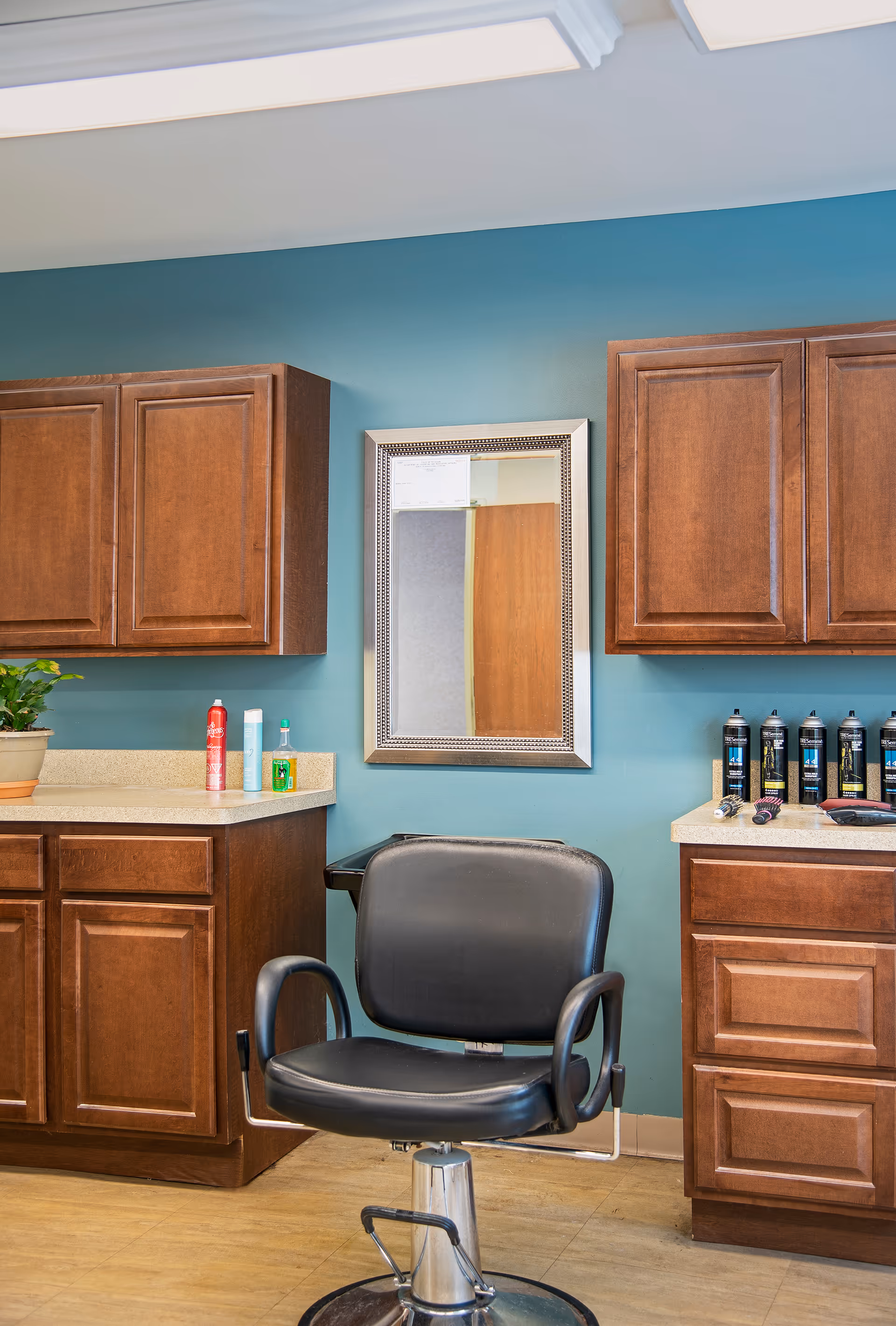 Interior view of a salon or grooming area with a black salon chair in front of a wall-mounted mirror. The walls are painted teal, and there are wooden cabinets on either side of the mirror. Various hair care products and sprays are placed on the countertops.