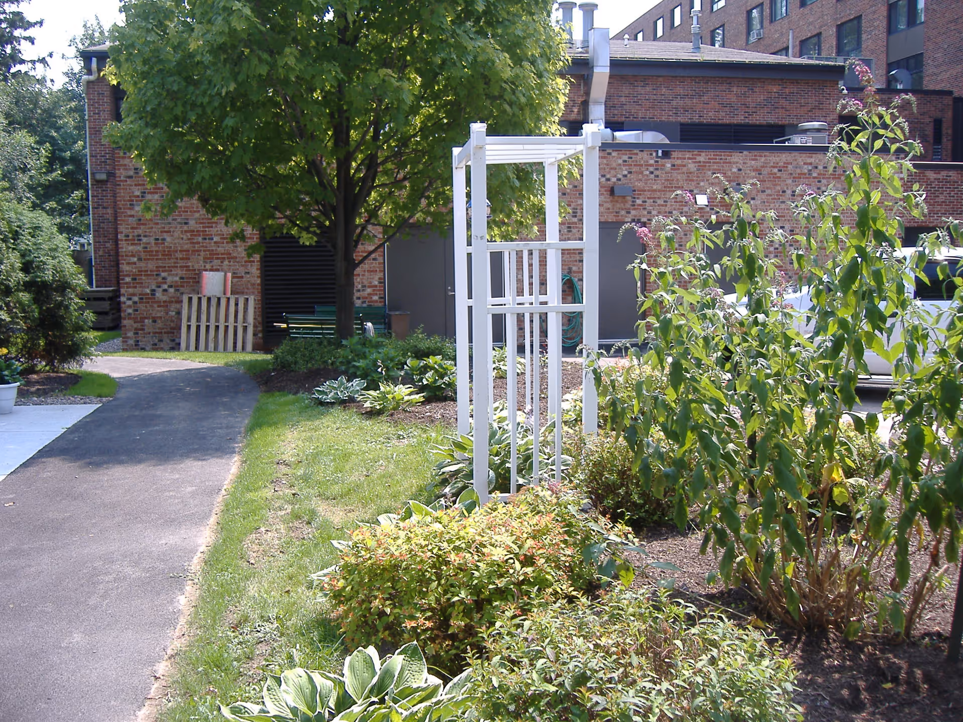 Outdoor garden area with a paved walkway, green grass, various plants and shrubs, a white trellis structure, and a large tree. In the background, there is a brick building with multiple windows and some outdoor equipment.