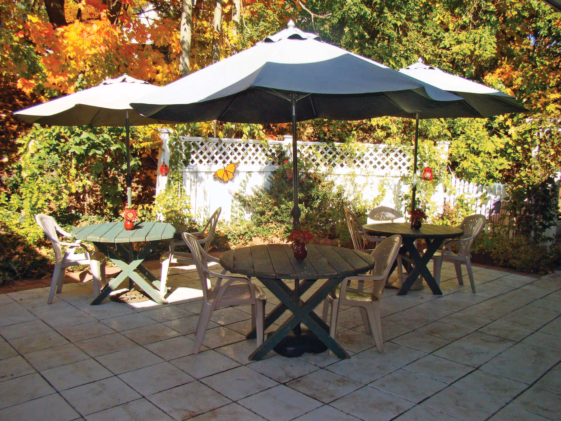 Outdoor patio area with three round wooden tables, each shaded by large umbrellas. Each table is surrounded by plastic chairs and has a small flower vase on top. The patio is paved with square tiles and bordered by a white lattice fence with greenery and autumn-colored trees in the background.