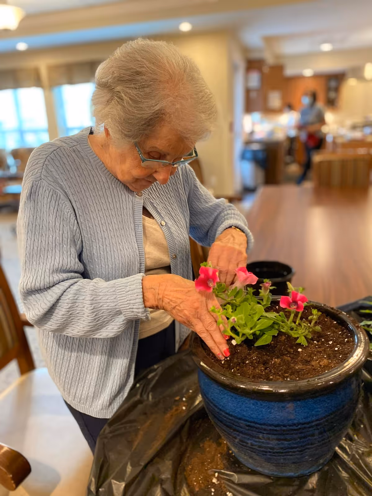 An elderly woman wearing glasses and a light blue cardigan is planting pink flowers in a blue pot filled with soil on a table indoors. The background shows a blurred interior with another person and furniture.
