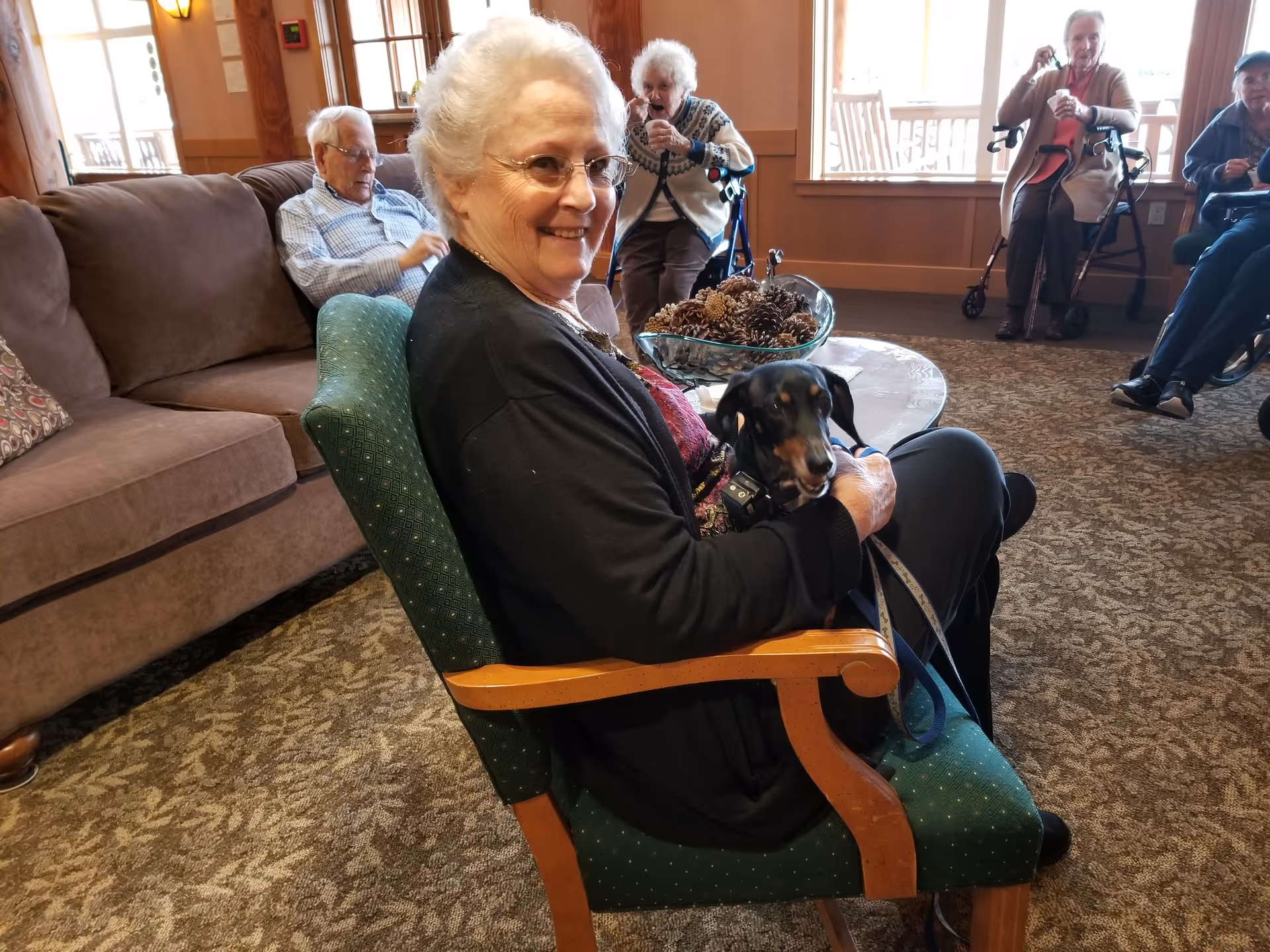 An elderly woman sitting in a green armchair holding a small black and brown dog on her lap in a cozy living room. In the background, other elderly people are seated on couches and chairs, some using walkers, with large windows letting in natural light.