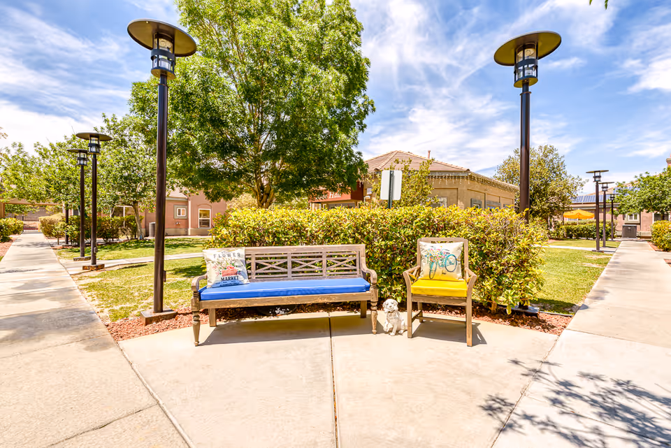 Outdoor seating area with a wooden bench with a blue cushion and a wooden chair with a yellow cushion, both adorned with decorative pillows. The seating is placed on a concrete pathway surrounded by green bushes, trees, and lamp posts under a partly cloudy blue sky. Residential buildings are visible in the background.