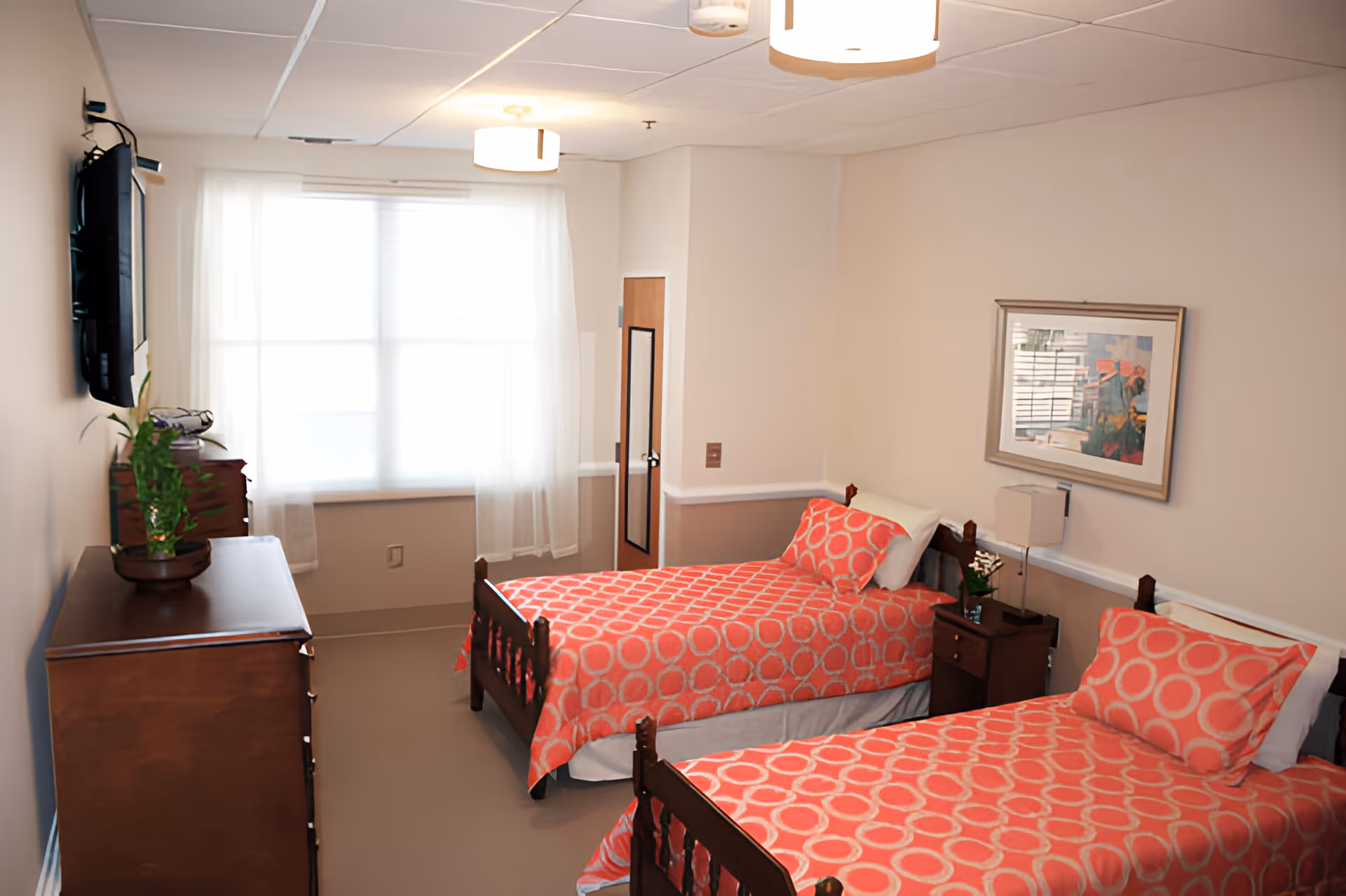 A bright bedroom with two single beds covered in matching coral bedspreads with circular patterns. Each bed has a pillow with the same pattern. Between the beds is a small wooden nightstand with a lamp and a small plant. On the left side of the room, there is a wooden dresser with a potted plant on top and a flat-screen TV mounted on the wall above it. A large window with sheer white curtains allows natural light to fill the room. A framed artwork hangs on the wall above the nightstand.