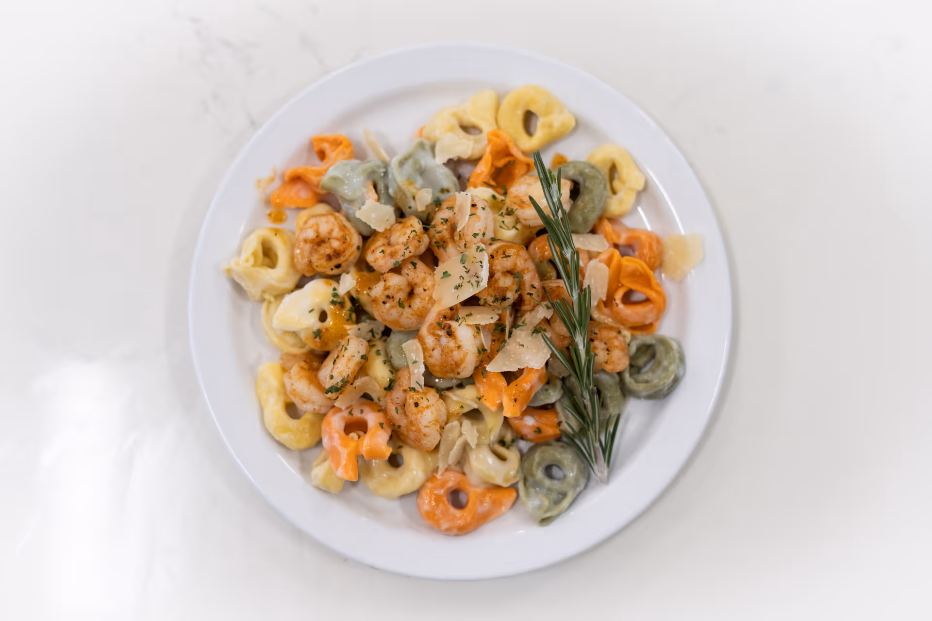 A white plate filled with colorful tortellini pasta topped with cooked shrimp, garnished with shaved cheese, herbs, and a sprig of rosemary, placed on a white marble surface.