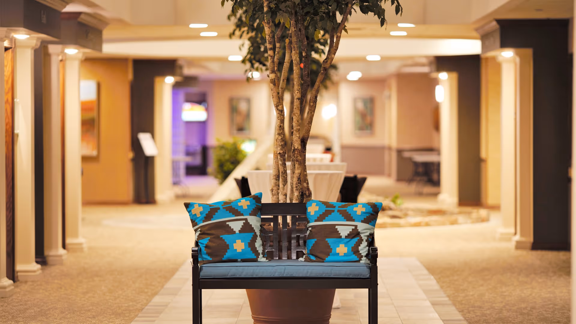 Indoor hallway area in a retirement community with a bench featuring two blue and brown patterned pillows in front of a large potted tree. The hallway is softly lit with warm lighting and has columns and artwork on the walls.