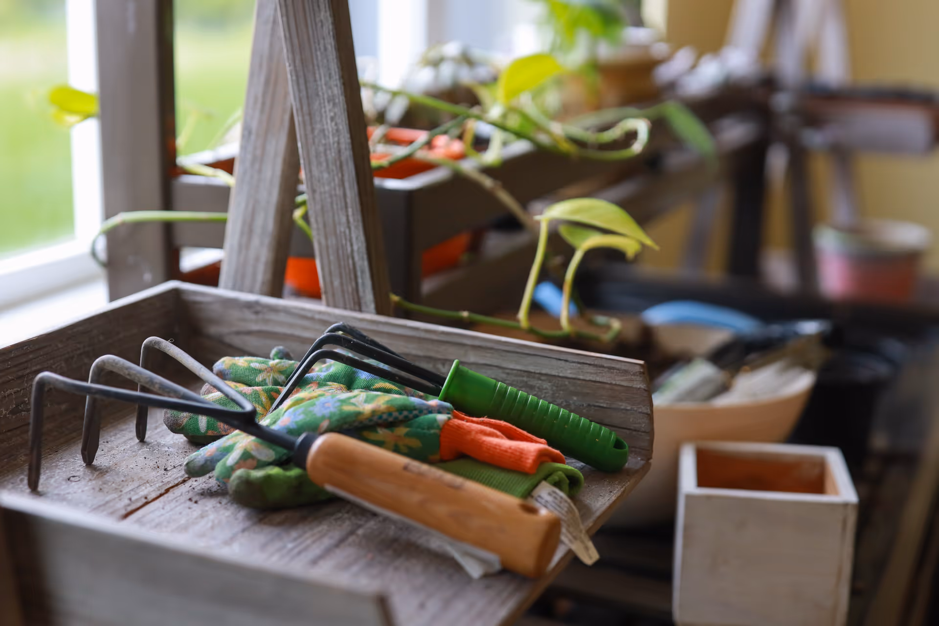 Close-up of gardening tools including a small rake and gloves resting on a wooden tray with plants and pots in the background near a window.